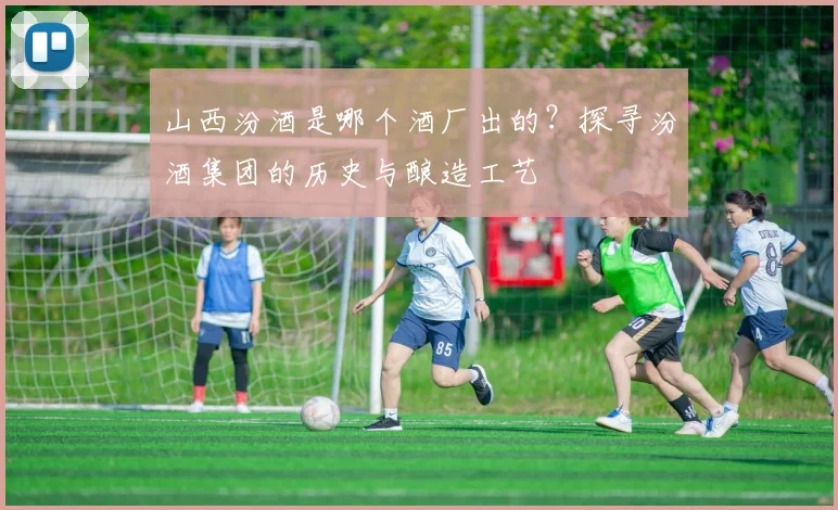 山西汾酒是哪个酒厂出的？探寻汾酒集团的历史与酿造工艺
