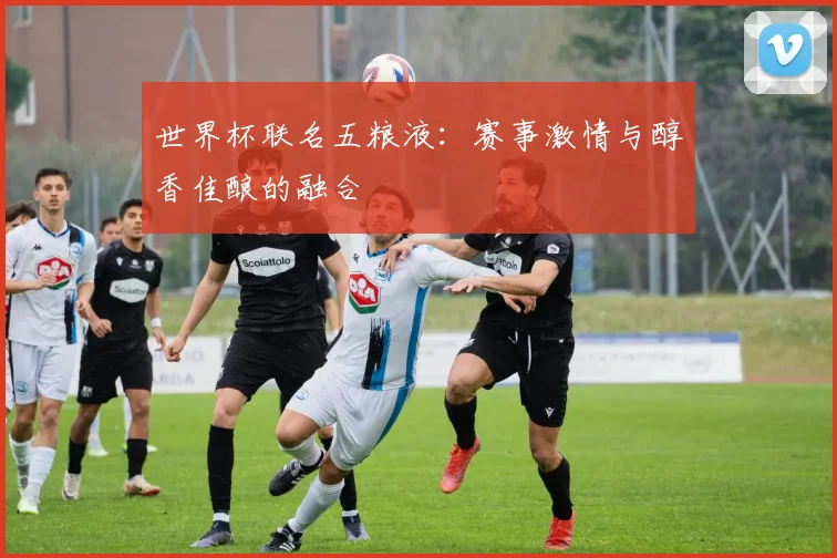 世界杯联名五粮液:赛事激情与醇香佳酿的融合